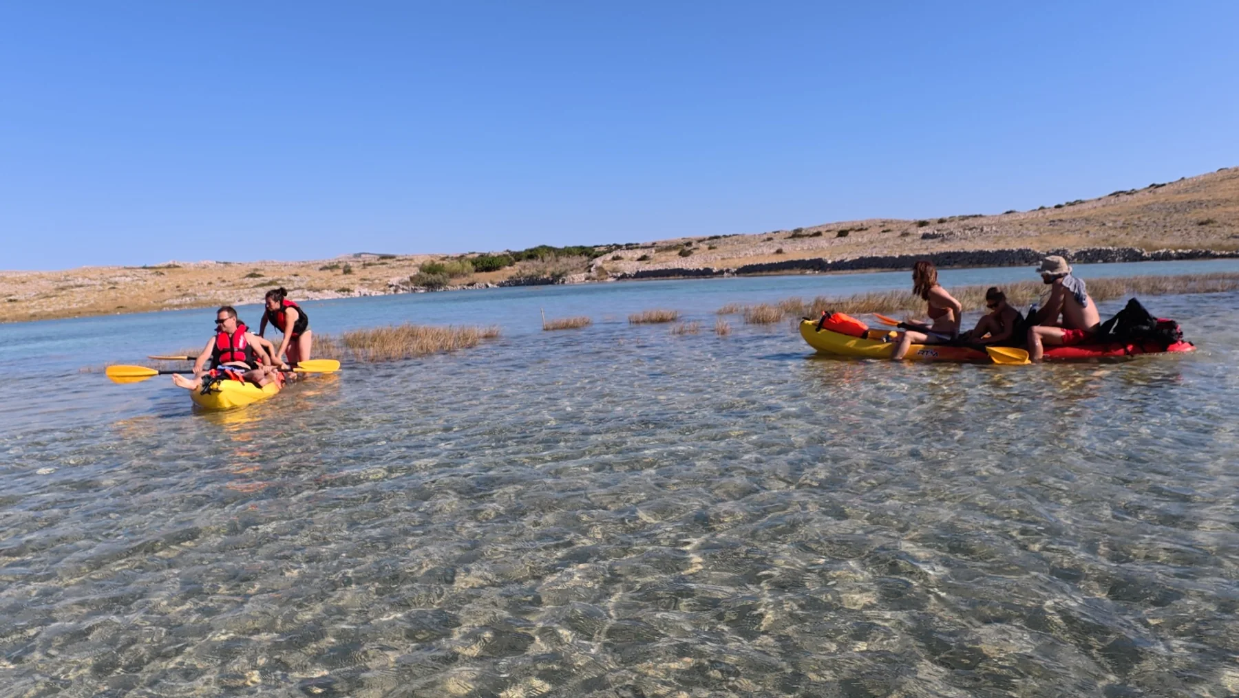 Small group in shallow water